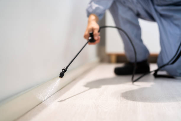 Licensed Termite Control service in Chesapeake, OH - Nex Pest Control