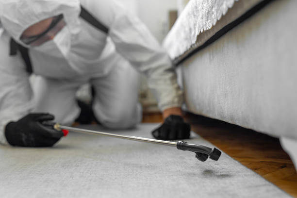 Professional Termite Control technician working in Chesapeake, OH