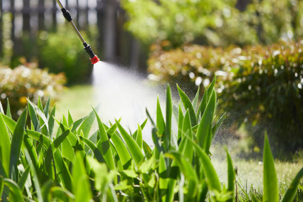 24/7 Emergency Termite Control experts in Chesapeake, OH