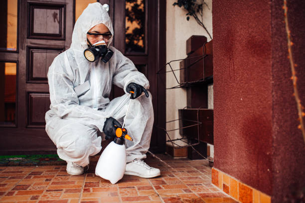 Reliable Termite Control contractor in Chesapeake, OH by Nex Pest Control