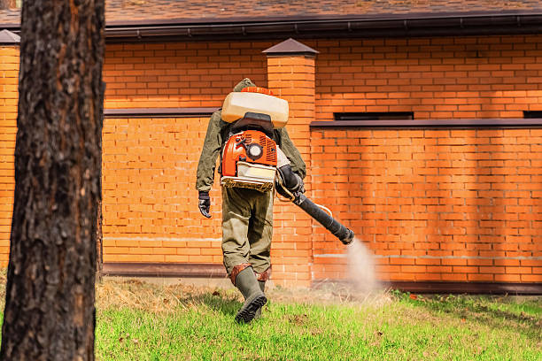 Top rated local Termite Control specialists in Chesapeake, OH